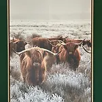 Cocooning Near Dinant 300m From River Meuse